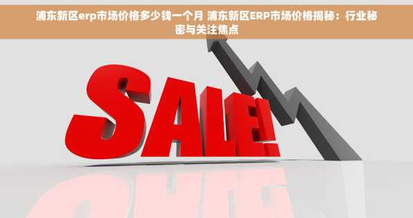 浦东新区erp市场价格多少钱一个月 浦东新区ERP市场价格揭秘：行业秘密与关注焦点