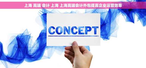 上海 高端 会计 上海 上海高端会计外包提高企业运营效率