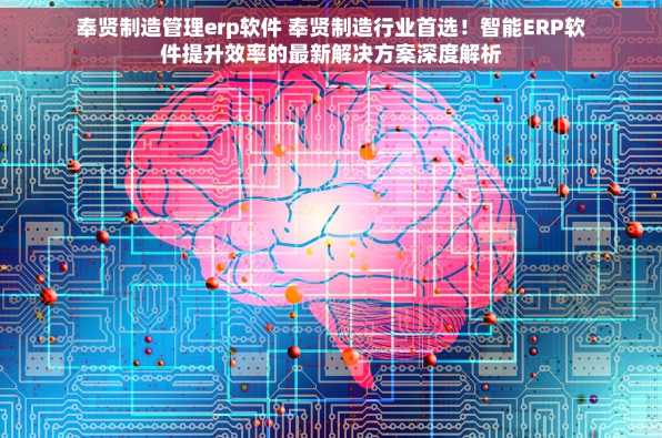 奉贤制造管理erp软件 奉贤制造行业首选！智能ERP软件提升效率的最新解决方案深度解析