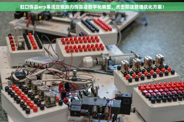虹口饰品erp系统定做助力饰品店数字化转型，点击即送管理优化方案！