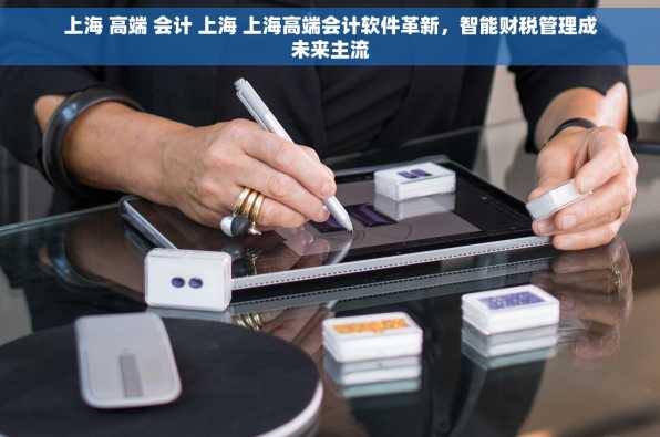上海 高端 会计 上海 上海高端会计软件革新，智能财税管理成未来主流