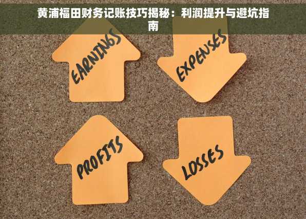 黄浦福田财务记账技巧揭秘：利润提升与避坑指南