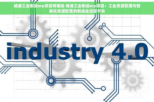 杨浦工业制造erp项目有哪些 杨浦工业制造erp项目：工业资源管理与智能化资源配置的制造业运营平台