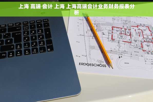 上海 高端 会计 上海 上海高端会计业务财务报表分析