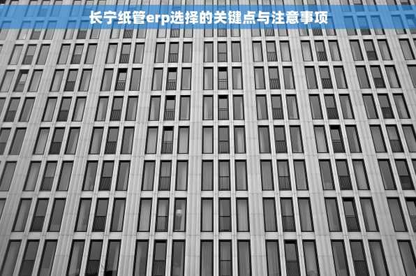 长宁纸管erp选择的关键点与注意事项
