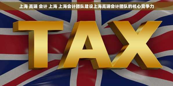 上海 高端 会计 上海 上海会计团队建设上海高端会计团队的核心竞争力