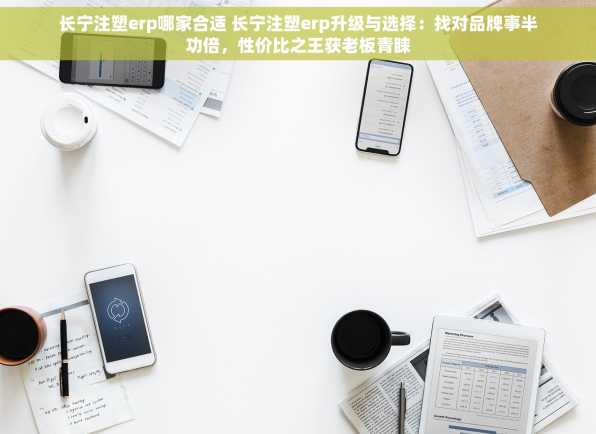 长宁注塑erp哪家合适 长宁注塑erp升级与选择：找对品牌事半功倍，性价比之王获老板青睐