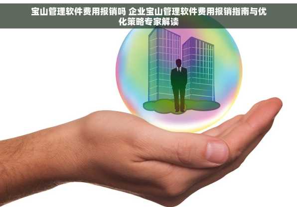 宝山管理软件费用报销吗 企业宝山管理软件费用报销指南与优化策略专家解读