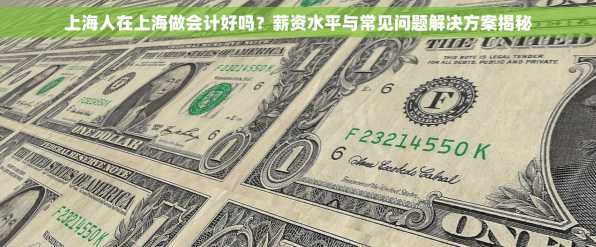 上海人在上海做会计好吗？薪资水平与常见问题解决方案揭秘