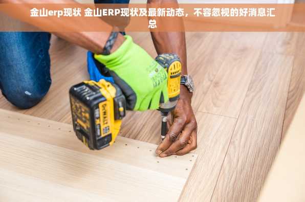 金山erp现状 金山ERP现状及最新动态，不容忽视的好消息汇总
