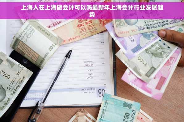 上海人在上海做会计可以吗最新年上海会计行业发展趋势