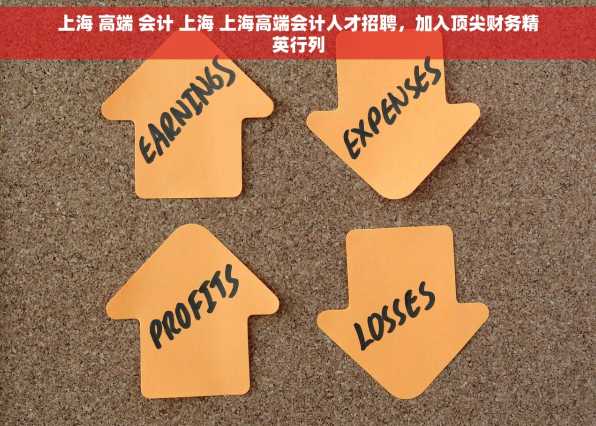 上海 高端 会计 上海 上海高端会计人才招聘，加入顶尖财务精英行列