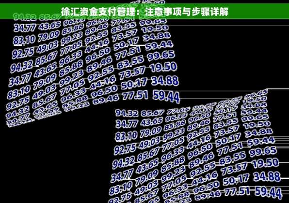 徐汇资金支付管理：注意事项与步骤详解