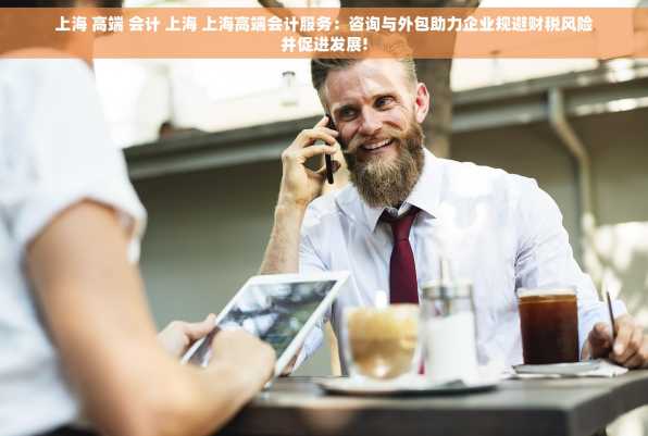 上海 高端 会计 上海 上海高端会计服务：咨询与外包助力企业规避财税风险并促进发展!