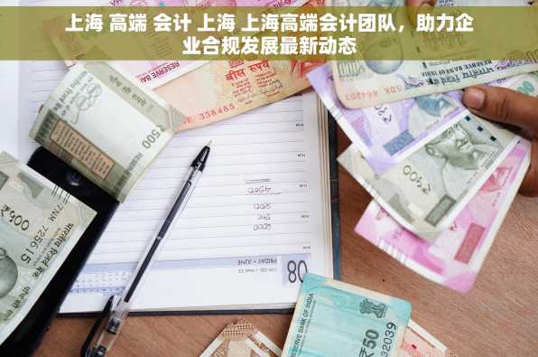 上海 高端 会计 上海 上海高端会计团队，助力企业合规发展最新动态