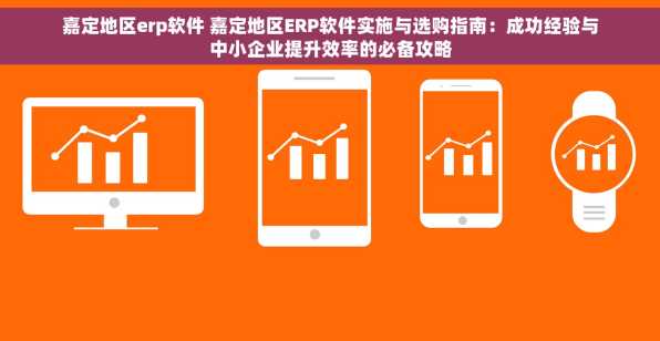 嘉定地区erp软件 嘉定地区ERP软件实施与选购指南：成功经验与中小企业提升效率的必备攻略