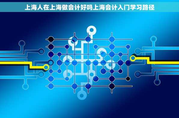 上海人在上海做会计好吗上海会计入门学习路径