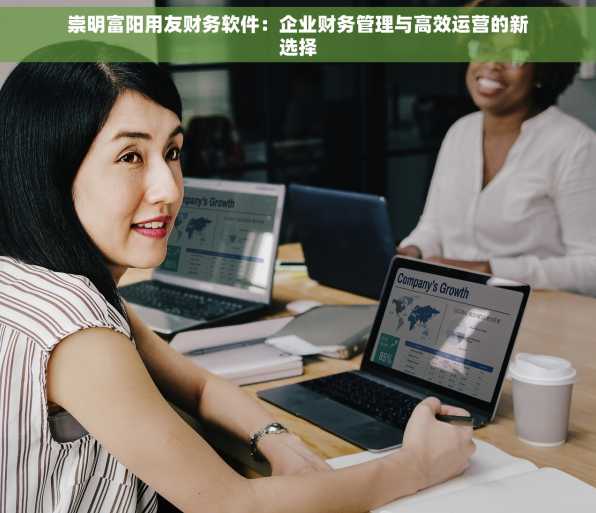 崇明富阳用友财务软件：企业财务管理与高效运营的新选择
