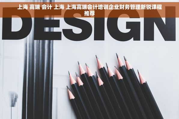 上海 高端 会计 上海 上海高端会计培训企业财务管理新锐课程推荐