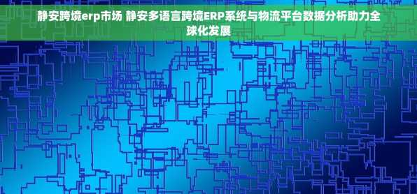 静安跨境erp市场 静安多语言跨境ERP系统与物流平台数据分析助力全球化发展