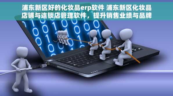 浦东新区好的化妆品erp软件 浦东新区化妆品店铺与连锁店管理软件，提升销售业绩与品牌影响力必备工具