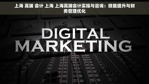 上海 高端 会计 上海 上海高端会计实操与咨询：技能提升与财务管理优化