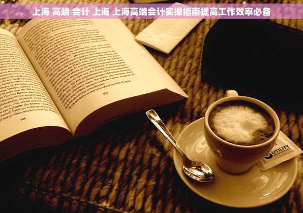 上海 高端 会计 上海 上海高端会计实操指南提高工作效率必备
