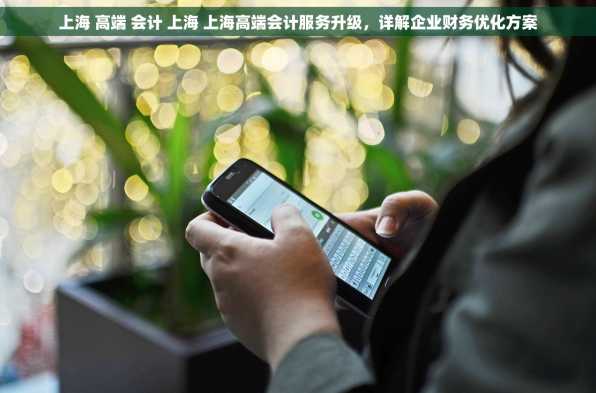 上海 高端 会计 上海 上海高端会计服务升级，详解企业财务优化方案