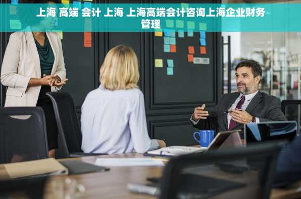 上海 高端 会计 上海 上海高端会计咨询上海企业财务管理