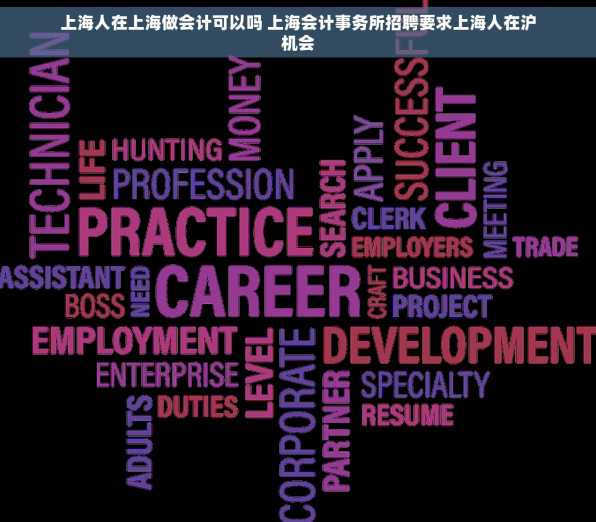 上海人在上海做会计可以吗 上海会计事务所招聘要求上海人在沪机会