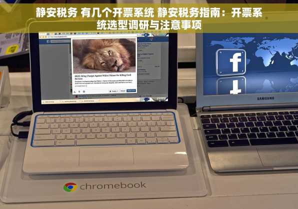 静安税务 有几个开票系统 静安税务指南：开票系统选型调研与注意事项
