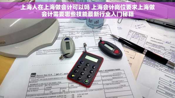 上海人在上海做会计可以吗 上海会计岗位要求上海做会计需要哪些技能最新行业入门秘籍