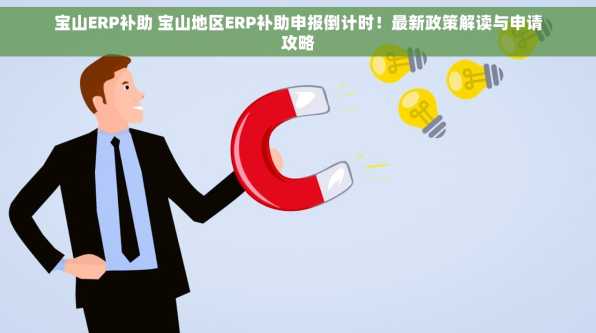 宝山ERP补助 宝山地区ERP补助申报倒计时！最新政策解读与申请攻略