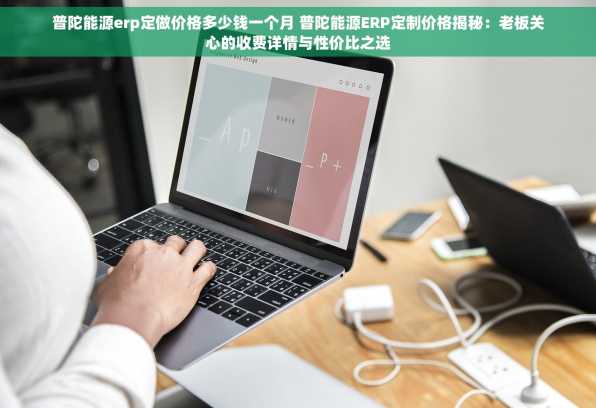 普陀能源erp定做价格多少钱一个月 普陀能源ERP定制价格揭秘：老板关心的收费详情与性价比之选
