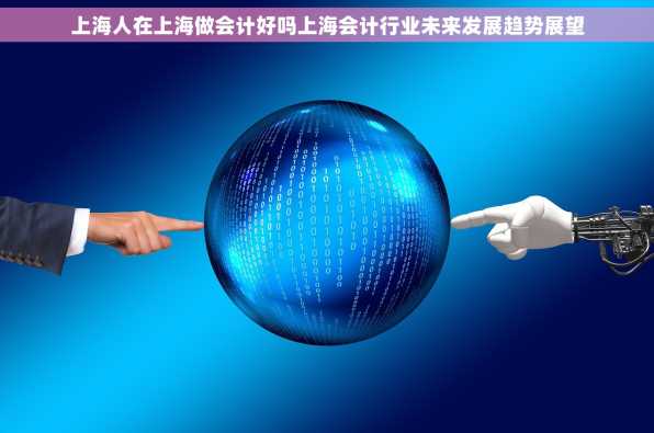 上海人在上海做会计好吗上海会计行业未来发展趋势展望