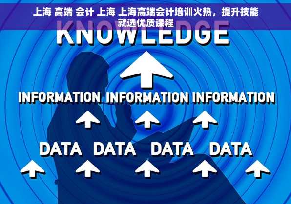 上海 高端 会计 上海 上海高端会计培训火热，提升技能就选优质课程