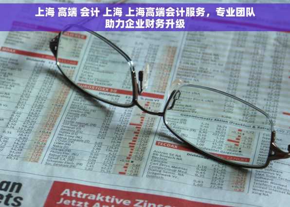上海 高端 会计 上海 上海高端会计服务，专业团队助力企业财务升级