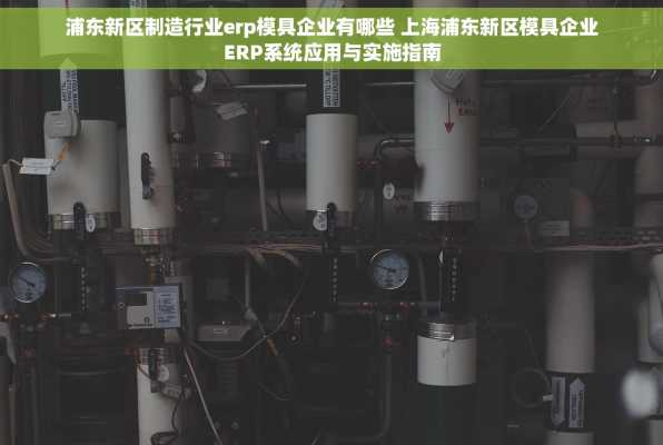 浦东新区制造行业erp模具企业有哪些 上海浦东新区模具企业ERP系统应用与实施指南