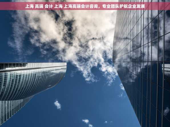 上海 高端 会计 上海 上海高端会计咨询，专业团队护航企业发展