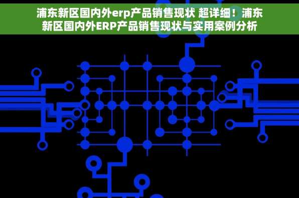 浦东新区国内外erp产品销售现状 超详细！浦东新区国内外ERP产品销售现状与实用案例分析