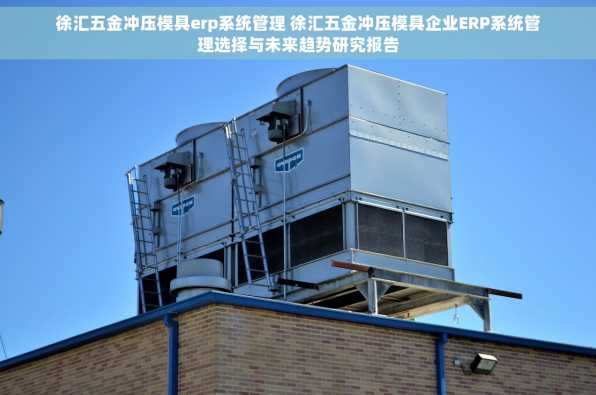 徐汇五金冲压模具erp系统管理 徐汇五金冲压模具企业ERP系统管理选择与未来趋势研究报告