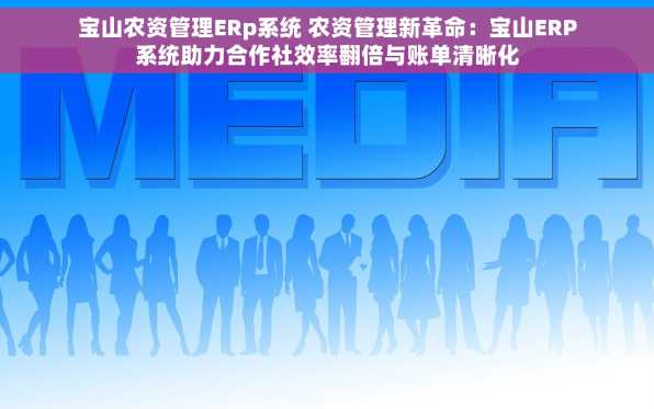 宝山农资管理ERp系统 农资管理新革命：宝山ERP系统助力合作社效率翻倍与账单清晰化