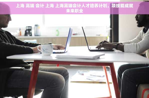上海 高端 会计 上海 上海高端会计人才培养计划，项技能成就未来职业