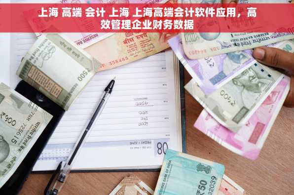 上海 高端 会计 上海 上海高端会计软件应用，高效管理企业财务数据