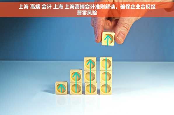 上海 高端 会计 上海 上海高端会计准则解读，确保企业合规经营零风险