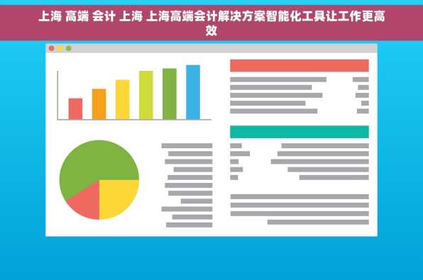 上海 高端 会计 上海 上海高端会计解决方案智能化工具让工作更高效