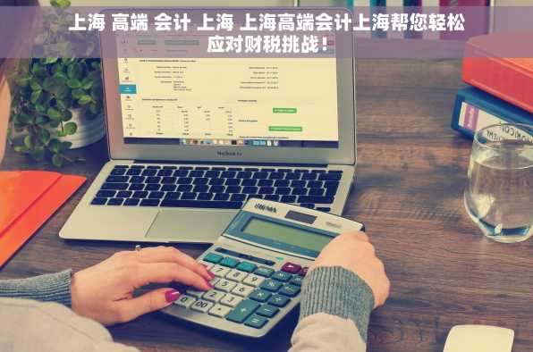 上海 高端 会计 上海 上海高端会计上海帮您轻松应对财税挑战！