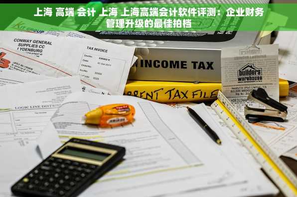 上海 高端 会计 上海 上海高端会计软件评测：企业财务管理升级的最佳拍档