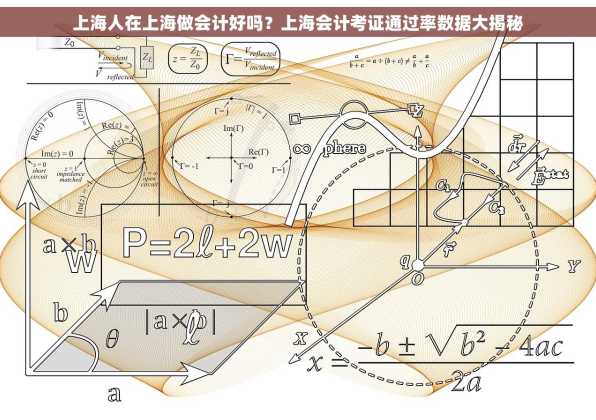 上海人在上海做会计好吗？上海会计考证通过率数据大揭秘