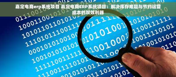 嘉定电商erp系统项目 嘉定电商ERP系统项目：解决库存难题与节约运营成本的双效利器